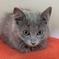 Photo of 👒 Freya 5867 👒