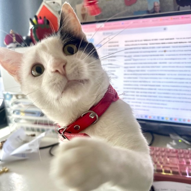 Photo of 🤗 Snugglepants 🤗👖