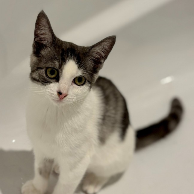 Photo of  Ranger 📣