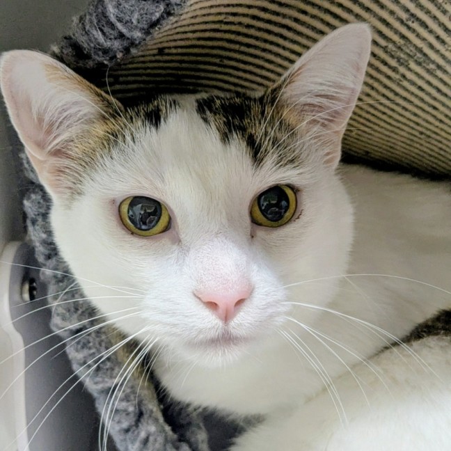 Photo of 🎪 George 6613 🎪