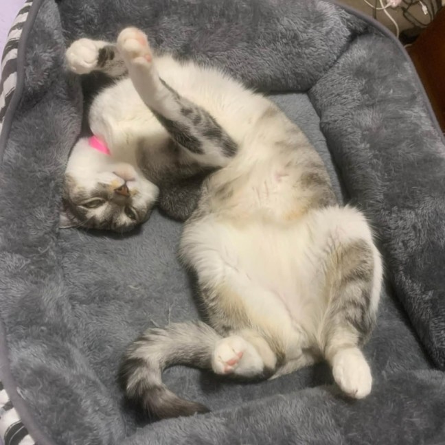 Photo of Ellie