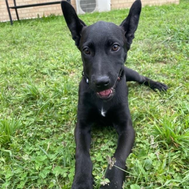Photo of Kiki