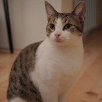 Photo of Gigi