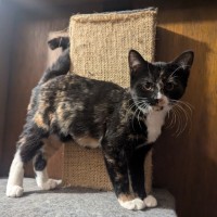 Photo of Lydia