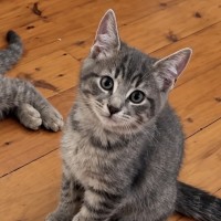 Photo of Thomas