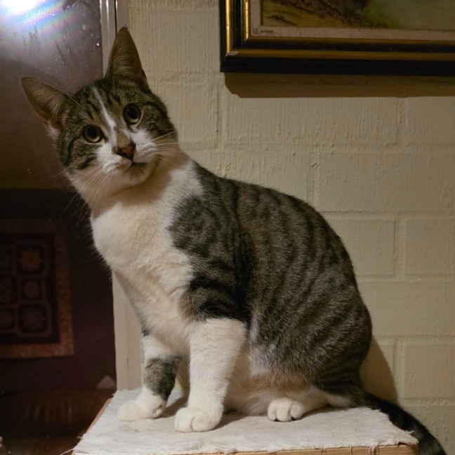 Photo of Clyde