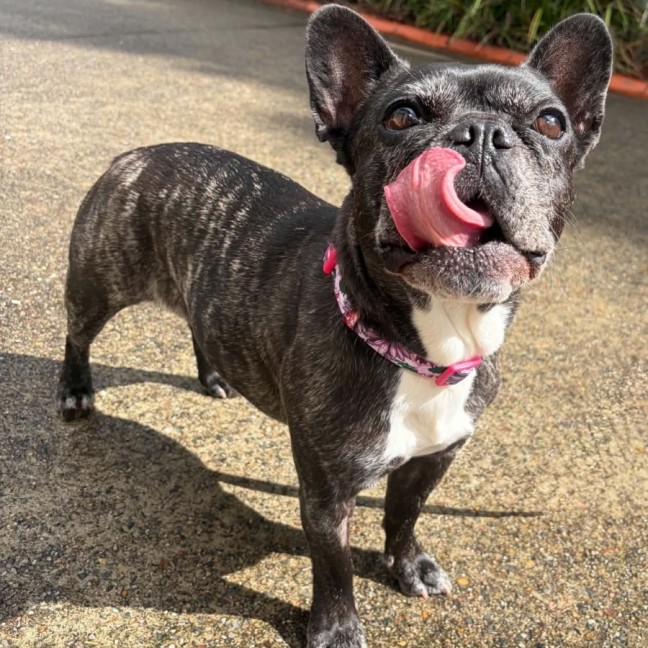 Photo of Catie
