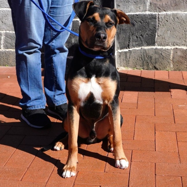 Photo of Monty