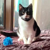 Photo of Dottie