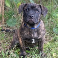 Photo of Reggie