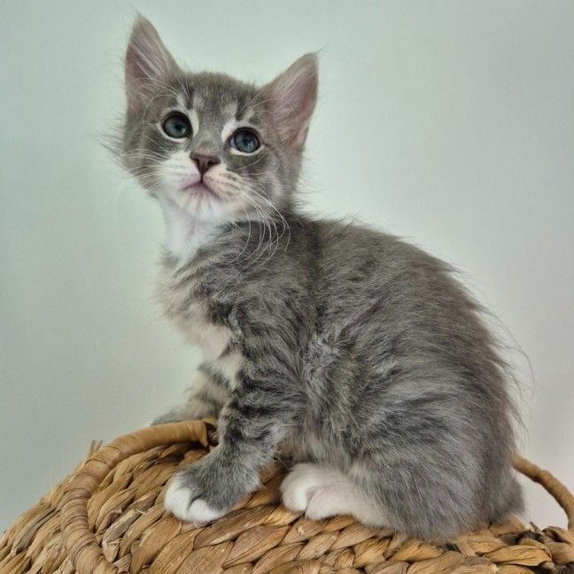 Photo of Clarissa 🌷🌷