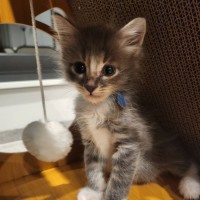 Photo of Marlow