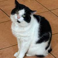 Photo of Boris