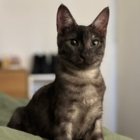 Photo of Dora