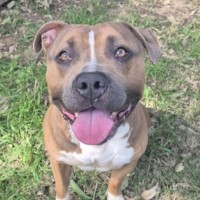 Photo of Chuck