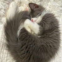 Photo of ⚪️ Pearl ⚪️