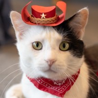 Photo of 🤗 Snugglepants 🤗👖