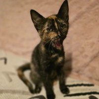 Photo of Bloom (Located In Wantirna South)