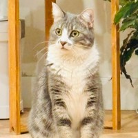 Photo of Paisley 