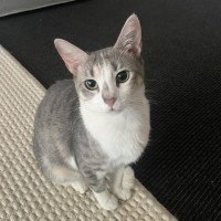 Photo of Eleanor 