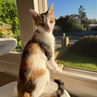 Photo of Jemima