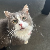 Photo of Mr Fluffaluffagus