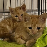 Photo of Spice