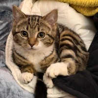 Photo of Tabitha