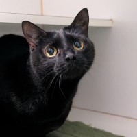 Photo of Brady