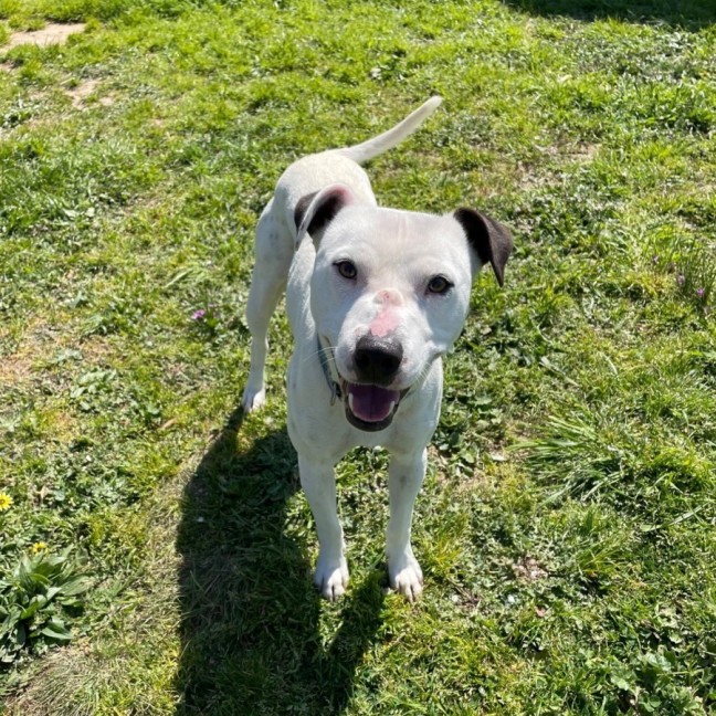 Photo of Sam