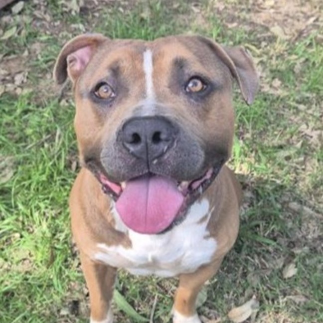 Photo of Chuck