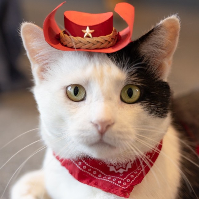 Photo of 🤗 Snugglepants 🤗👖