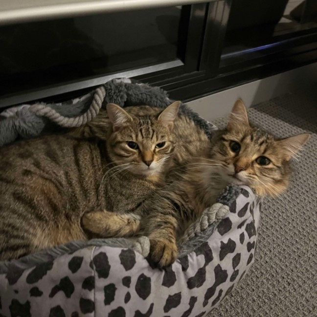 Photo of Barney & Fred