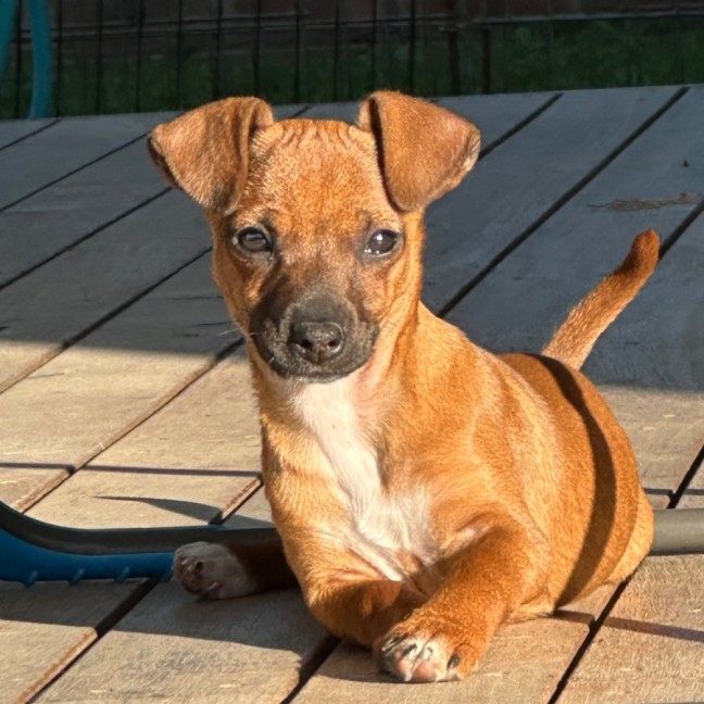 Photo of Mimi
