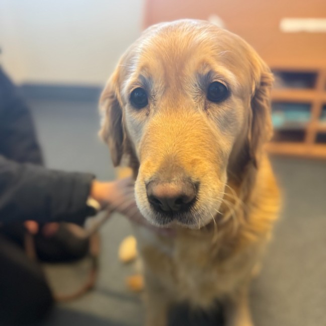 Photo of Heidi