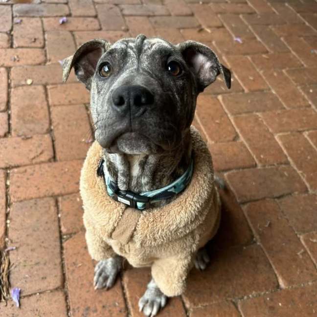 Photo of Simon