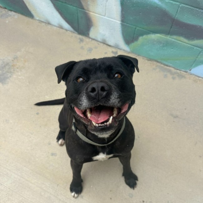 Photo of 🏈 Max 6706 🏈