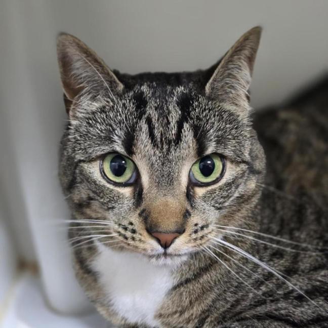 Photo of 🧂 Pepper 7558 🧂