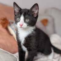 Photo of Spork