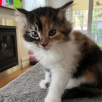 Photo of Maxine