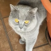 Photo of William