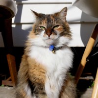 Photo of Buffy