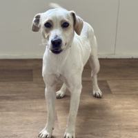 Photo of Cj (Captain Jack)