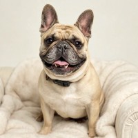 Photo of Honey