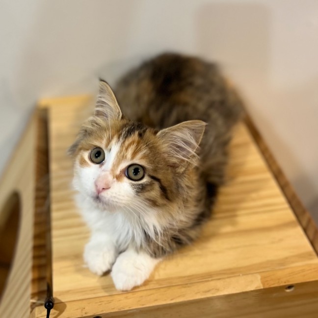 Photo of Angela Anaconda