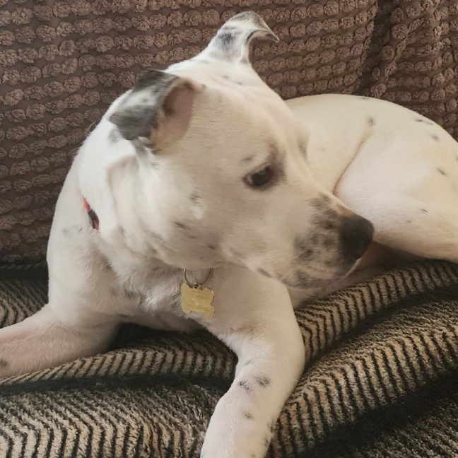 Photo of Whippersnapper