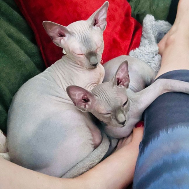 Photo of Luna And Lylah