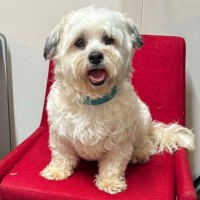 Photo of Gus
