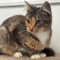 Photo of Giselle