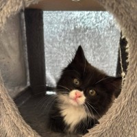 Photo of Bean